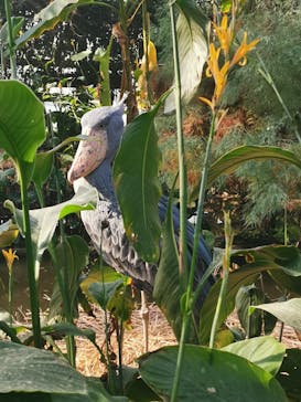 神戸どうぶつ王国に投稿された画像（2023/12/31）