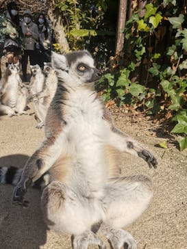 神戸どうぶつ王国に投稿された画像（2023/12/31）