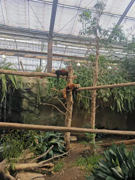 神戸どうぶつ王国に投稿された画像（2023/12/31）