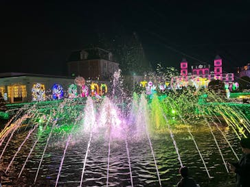 神戸イルミナージュに投稿された画像（2023/12/31）