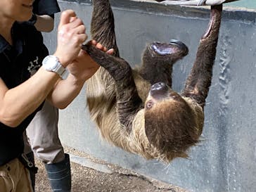 カワスイ 川崎⽔族館に投稿された画像（2023/12/31）