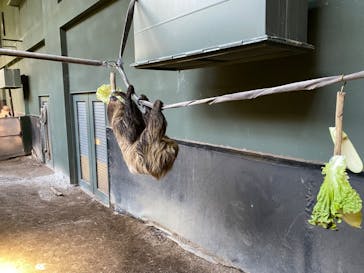 カワスイ 川崎⽔族館に投稿された画像（2023/12/31）