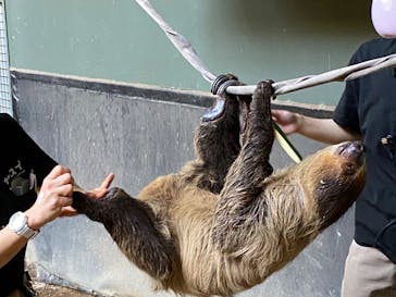 カワスイ 川崎⽔族館に投稿された画像（2023/12/31）