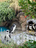 サンシャイン水族館に投稿された画像（2023/12/31）