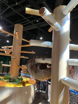 DMMかりゆし水族館に投稿された画像（2023/12/31）