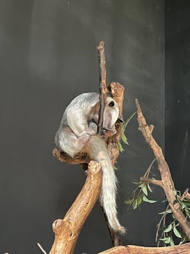 DMMかりゆし水族館に投稿された画像（2023/12/31）