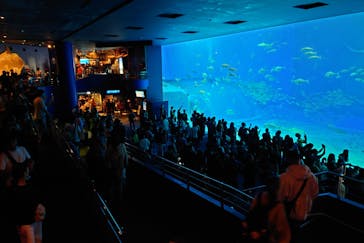 沖縄美ら海水族館に投稿された画像（2023/12/31）