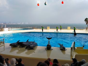 マリンワールド海の中道に投稿された画像（2023/12/31）