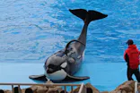 名古屋港水族館に投稿された画像（2023/12/31）