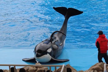 名古屋港水族館に投稿された画像（2023/12/31）