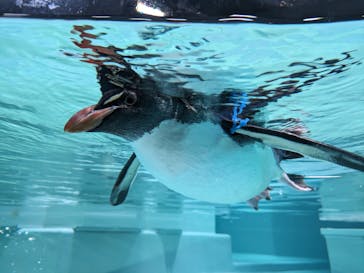 AOAO SAPPOROに投稿された画像（2023/12/31）