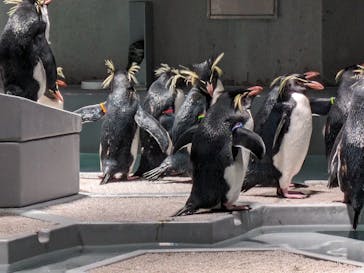 AOAO SAPPOROに投稿された画像（2023/12/31）