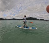 石垣島 ADVENTURE PiPi（イシガキジマアドベンチャーピピ）に投稿された画像（2023/12/31）