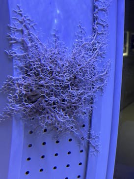 AOAO SAPPOROに投稿された画像（2023/12/31）