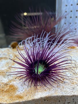 AOAO SAPPOROに投稿された画像（2023/12/31）