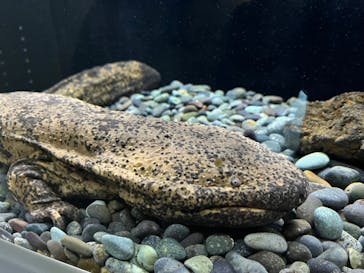 AOAO SAPPOROに投稿された画像（2023/12/31）