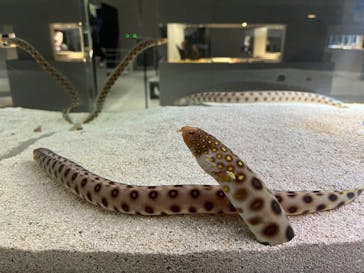 AOAO SAPPOROに投稿された画像（2023/12/31）