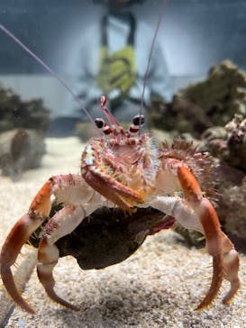 AOAO SAPPOROに投稿された画像（2023/12/31）