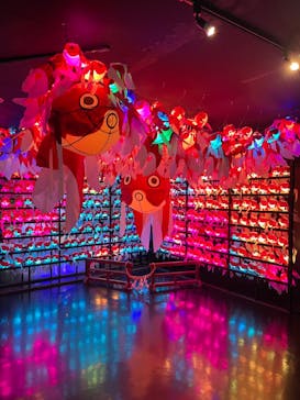 NARA KINGYO MUSEUMに投稿された画像（2023/12/31）