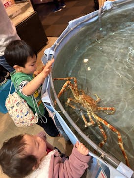 すさみ町立エビとカニの水族館に投稿された画像（2023/12/31）