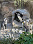 サンシャイン水族館に投稿された画像（2023/12/31）