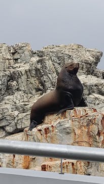 大分マリーンパレス水族館 「うみたまご」に投稿された画像（2023/12/31）