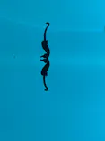 仙台うみの杜水族館に投稿された画像（2023/12/31）