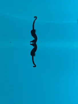 仙台うみの杜水族館に投稿された画像（2023/12/31）