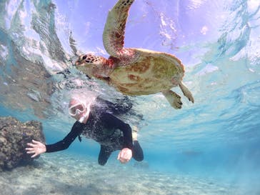 CHAMP TOUR　宮古島に投稿された画像（2023/12/31）