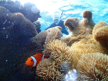 CHAMP TOUR　宮古島に投稿された画像（2023/12/31）