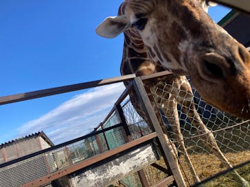 東北サファリパークに投稿された画像（2023/12/31）