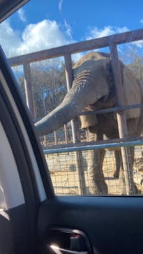 東北サファリパークに投稿された画像（2023/12/31）