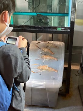 カワスイ 川崎⽔族館に投稿された画像（2023/12/31）