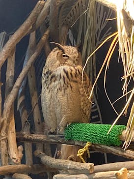 カワスイ 川崎⽔族館に投稿された画像（2023/12/31）