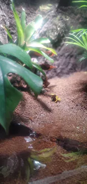 マクセル アクアパーク品川に投稿された画像（2023/12/31）