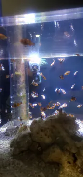 マクセル アクアパーク品川に投稿された画像（2023/12/31）