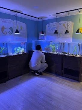 ゼロ距離水族館 伊勢シーパラダイスに投稿された画像（2023/12/31）