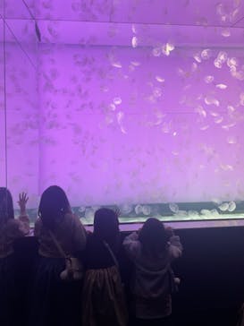 アクアワールド茨城県大洗水族館に投稿された画像（2023/12/31）