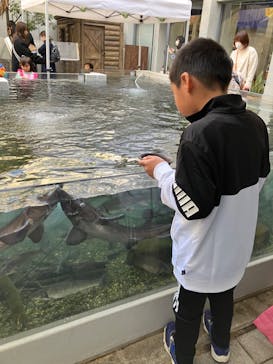 世界淡水魚園水族館　アクア・トトぎふに投稿された画像（2023/12/31）