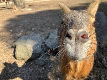 長崎バイオパークに投稿された画像（2023/12/31）