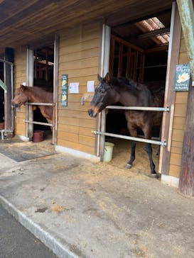 まかいの牧場に投稿された画像（2023/12/31）