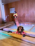 おさるの湯もみ処　おさ湯に投稿された画像（2023/12/31）