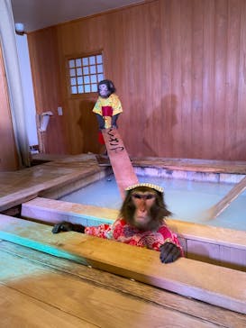 おさるの湯もみ処　おさ湯に投稿された画像（2023/12/31）