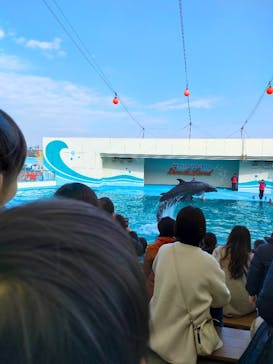 南知多ビーチランド＆南知多おもちゃ王国に投稿された画像（2023/12/31）