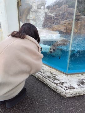 越前松島水族館に投稿された画像（2023/12/31）