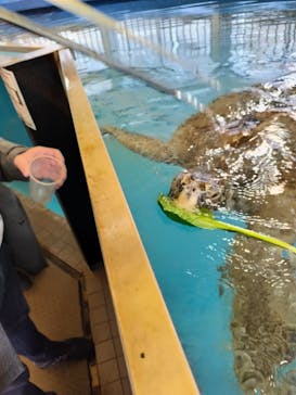 越前松島水族館に投稿された画像（2023/12/31）