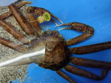 越前松島水族館に投稿された画像（2023/12/31）