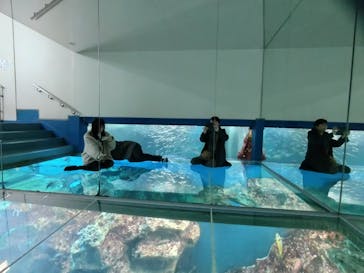 越前松島水族館に投稿された画像（2023/12/31）