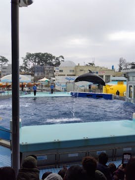 越前松島水族館に投稿された画像（2023/12/31）