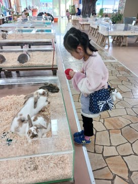 いきもの探検隊上尾に投稿された画像（2023/12/31）